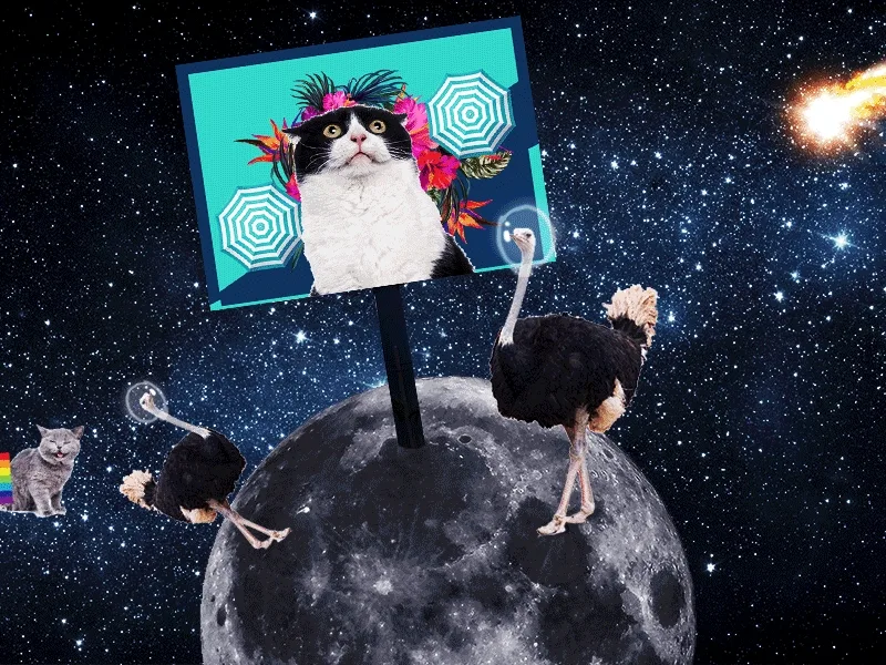 Pixels of Fury: Um prêmio diferente para o Brasil em Cannes