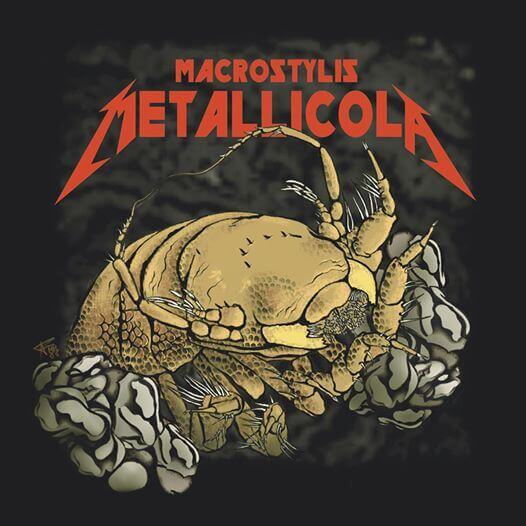 Cientistas batizam crustáceo recém-descoberto em homenagem ao Metallica