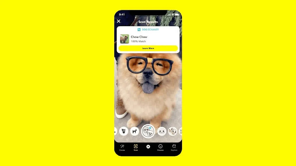 Snapchat vai identificar raças de cães e espécies de plantas através da Realidade Aumentada