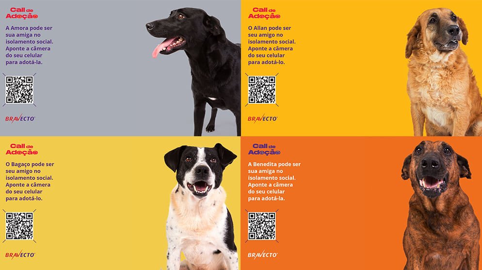 CP+B: Ação utiliza imagens de fundo de videochamadas para incentivar a adoção de cães