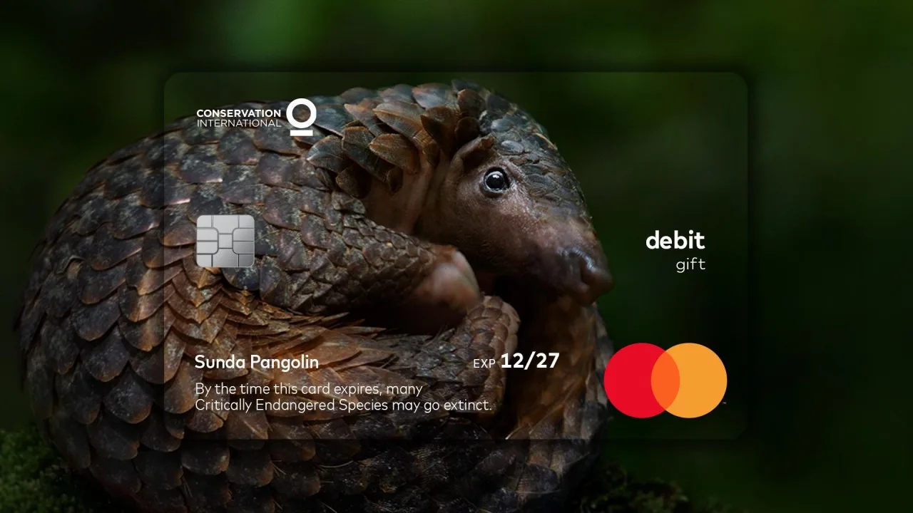 MasterCard usa data de expiração para falar de extinção animal