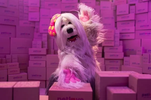 Priscila, personagem dos anos 90 volta em campanha da Petlove