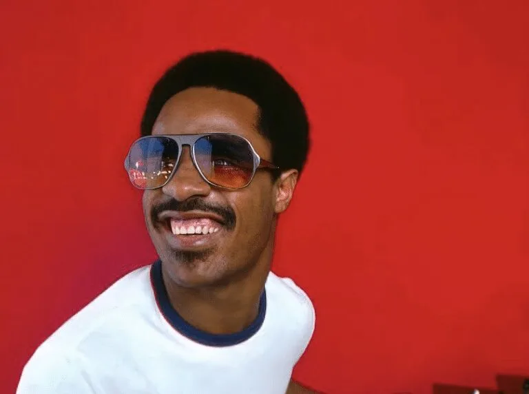 Stevie, o Wonderful