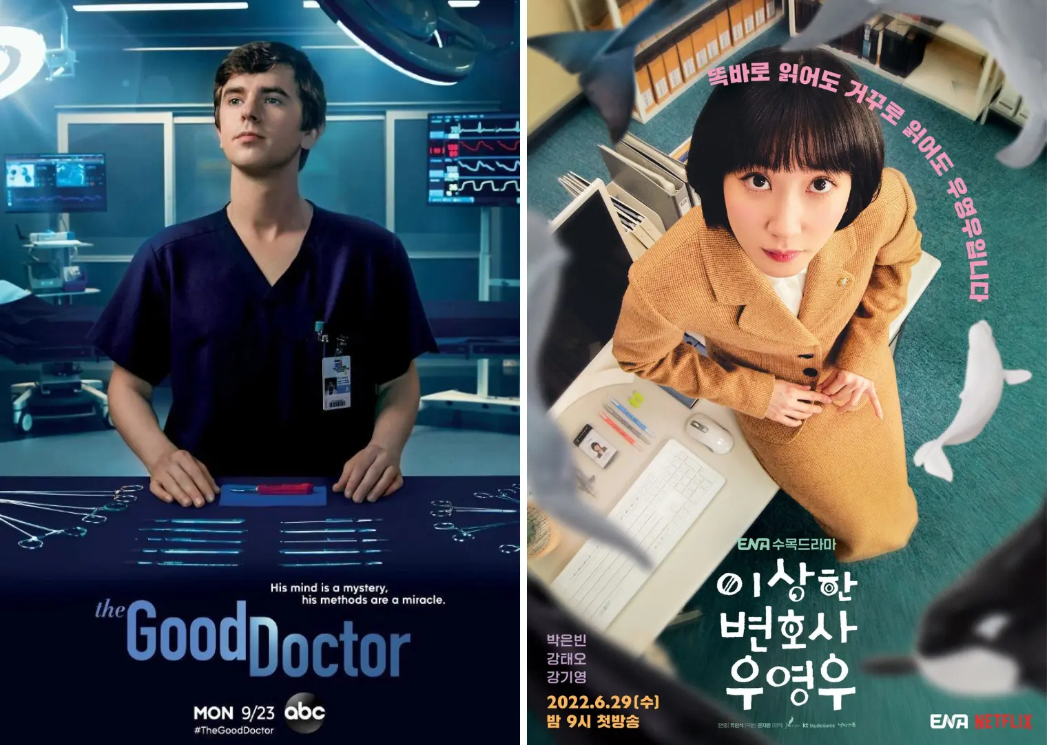 Cópia? "The Good Lawyer" terá advogada com TOC. Série coreana tem advogada com autismo