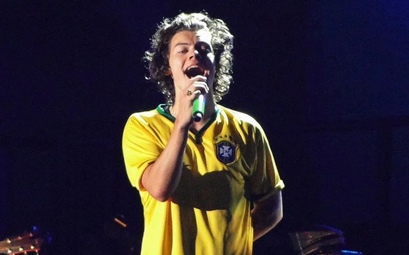 Harry Styles em São Paulo e meu primeiro show Gen Z