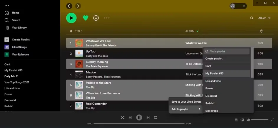 interface do Spotify