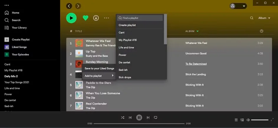 interface do Spotify