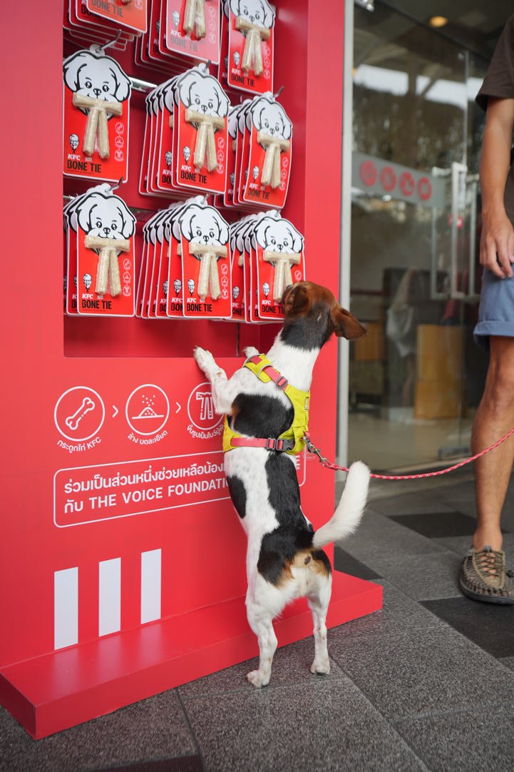 KFC para cachorros? Sim, com gravatinhas comestíveis!