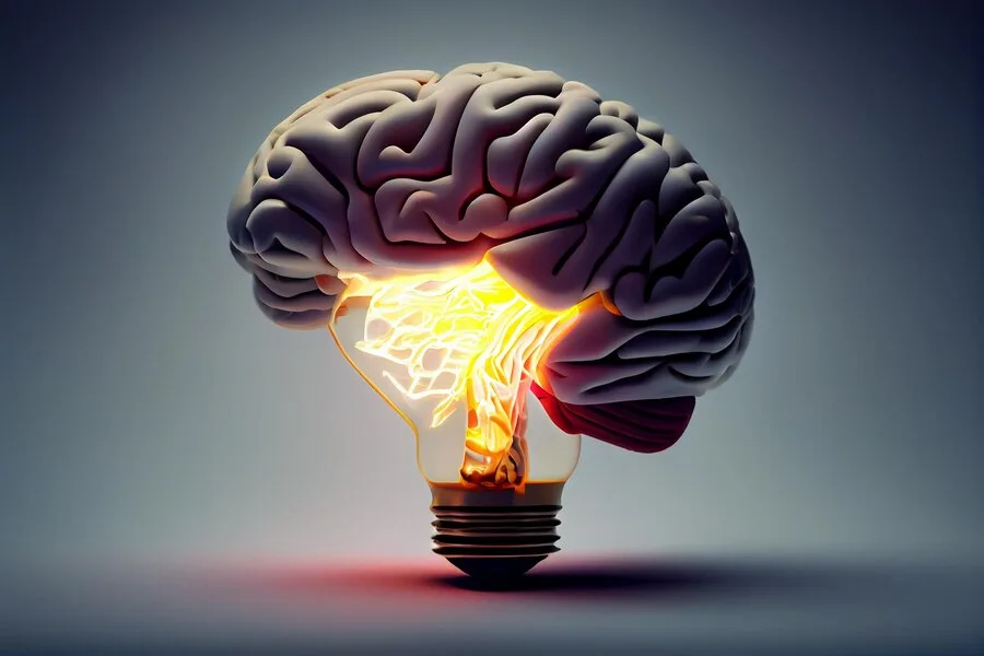 3D illustration of a human brain forming the top part of a light bulb signifying creativity and innovation.