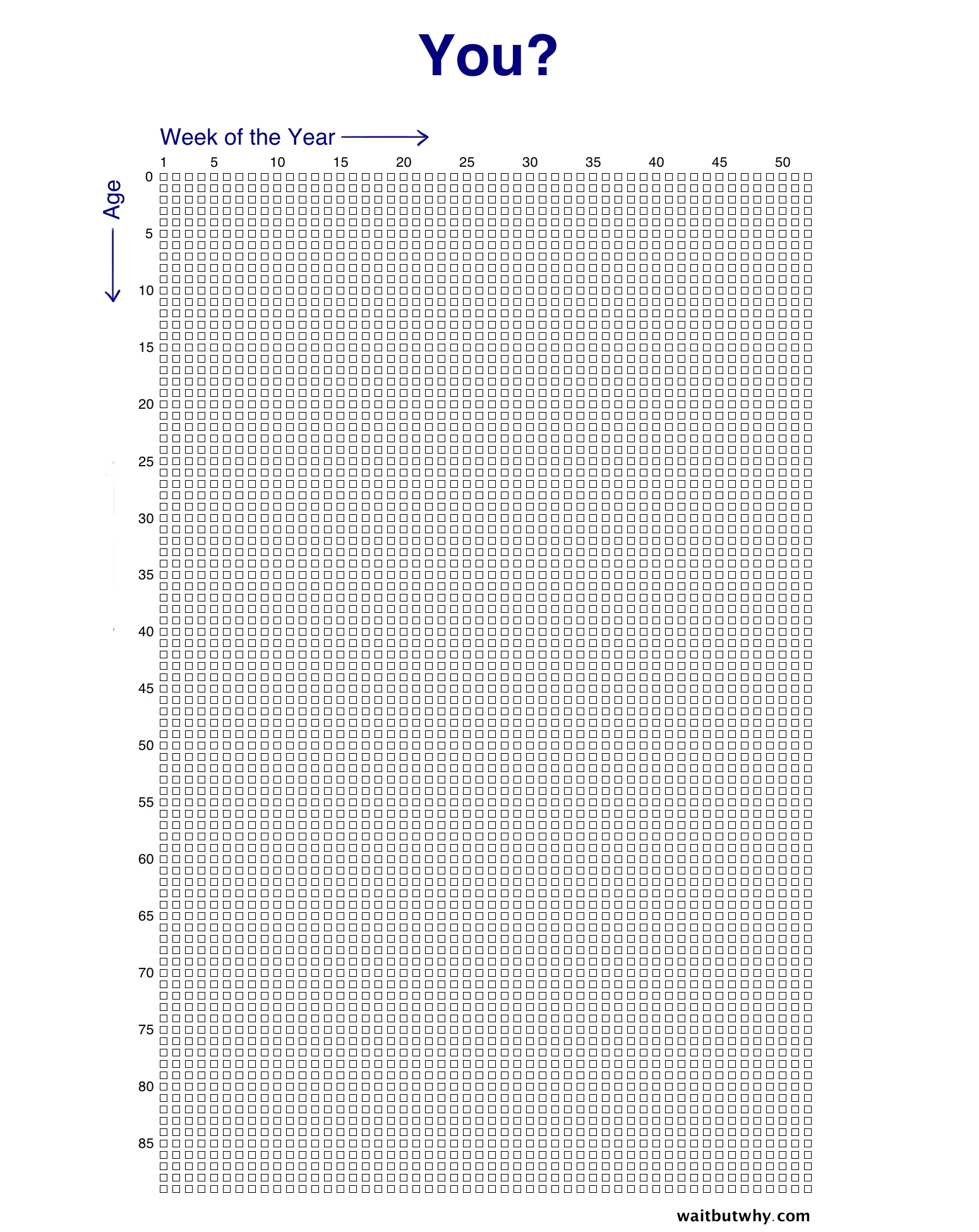 human life in weeks,tim urban,quanto tempo de vida