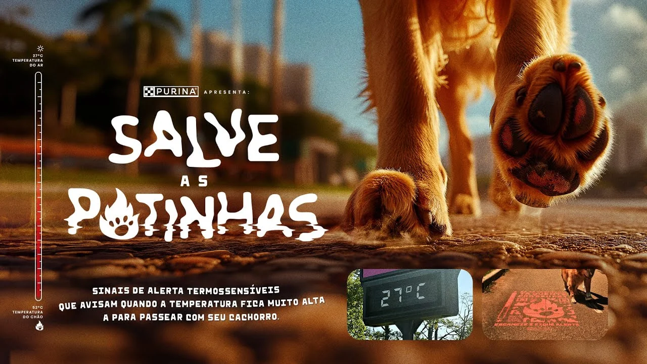 Dog walking on hot pavement with a temperature warning, promoting Purina's "Save the Paws" campaign to protect pets' paws from heat.
