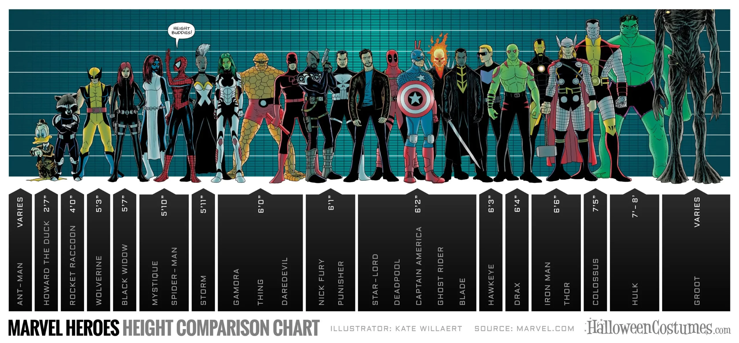 Marvel superheroes height comparison chart featuring characters like Ant-Man, Wolverine, Spider-Man, Captain America, Thor, Hulk, and Groot.