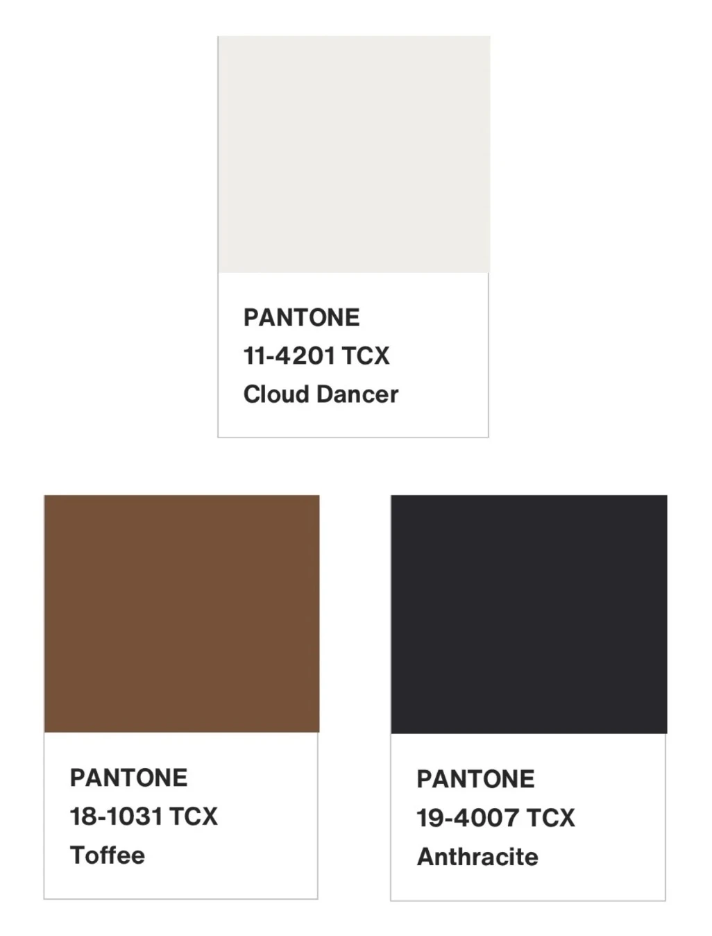 Amostras de cores Pantone: branco, marrom, preto.