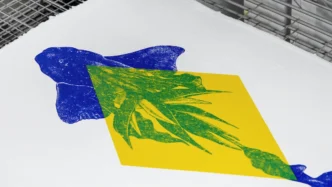 Arte com peixe em cores vibrantes