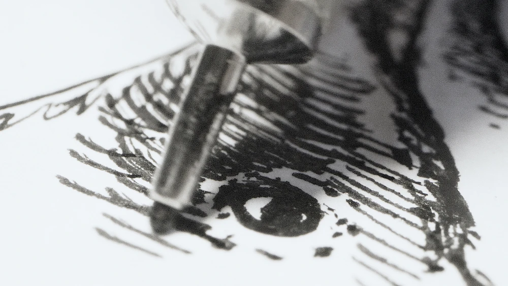 Desenho detalhado com caneta de ponta fina