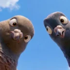 Dois pombos animados olhando para baixo